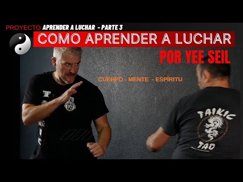 COMO APRENDER A LUCHAR   - POR YEE SEIL