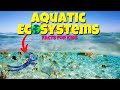 Freshwater Ecosystems and Biomes