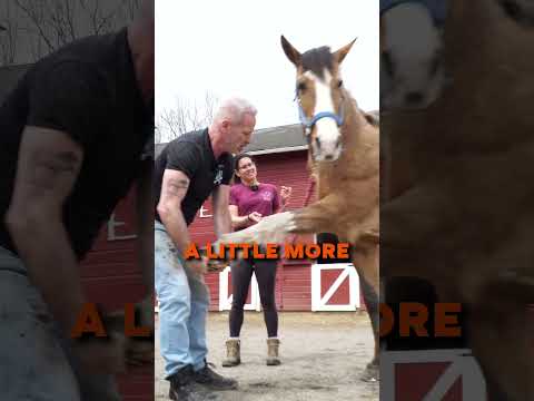 The Horse Who Couldn’t Get Enough Crackers