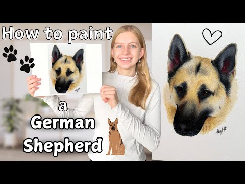 Painting a German Shepherd!