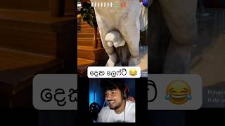 ආතල් සීන් එක 😂 #mecchachameleon