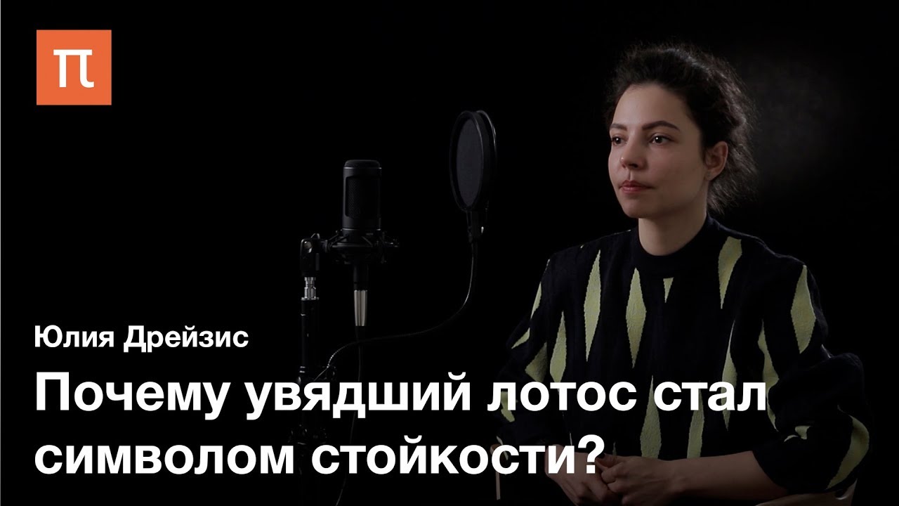 Западное и восточное в китайской поэзии - Юлия Дрейзис