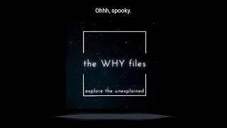 The WHY Files Trailer
