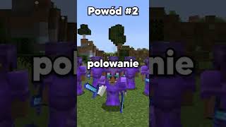 IP: Kelpmc.pl #shorts