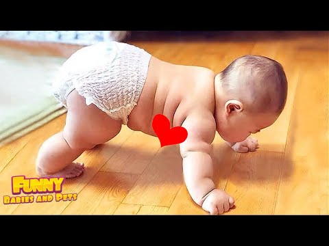Funny Baby Videos That You Can't Miss! Try Not To Laugh Challenge - Funny Baby Videos