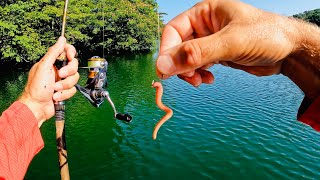 This Simple Method Always Produces Fish