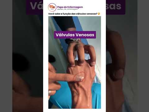 Você sabe a função das válvulas venosas? 🤔