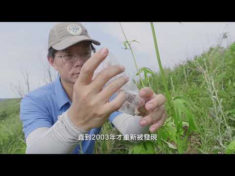 絕處逢生-讓瀕絕植物回家 4K 華語版 - YouTube