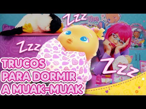 ¡MUAK-MUAK no tiene sueño! 😪 Los mejores TRUCOS para dormir a los Bellies