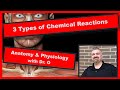 Chemical Reactions in Human Physiology
