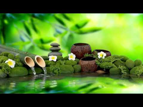 Relaxing Sleep Music 24/7, Calm Music, Yoga, Sleep Meditation, Spa, Study Music, Ocean Sounds