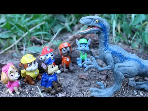 PAW PATROL y BLUE el VELOCIRAPTOR! Patrulla canina patrulla cachorros DINOSAURIOS videos para niños