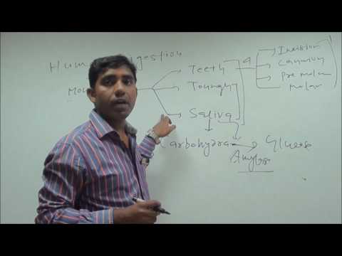 Gyanmudra Innovations L.L.P YouTube video thumbnail