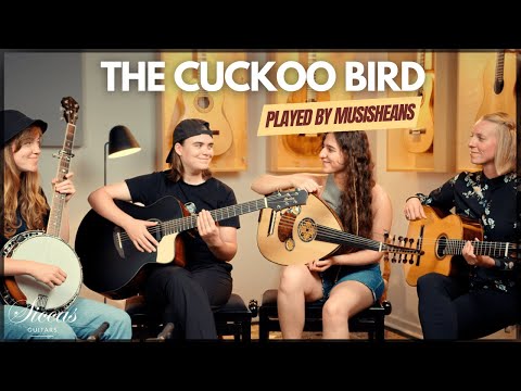 MusiSHEans plays The Cuckoo Bird | 4 Women on Guitar, Oud, Banjo & Steelstring