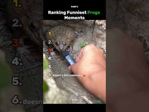 Ranking Best Frogs🐸 Part 2