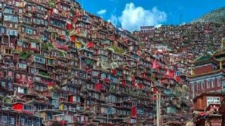 衝撃！こんな家でも中には住人が！