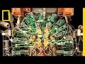 Neuroscience of Consciousness and Communication