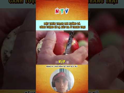 Một thiên thạch rơi xuống và Cảnh tượng KÌ LẠ xảy ra ở trang trại 1 #shortsvideo #reviewphim #reels