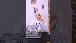 دكتورة على ما تفرج حلقة البغبغان أبودومه