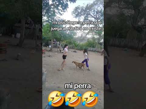 TAMBIÉN SE DIVIERTE 🐶😂😂