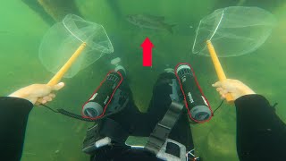 足にプロペラつけて琵琶湖潜ると外来魚駆除がはかどり過ぎてヤバい
