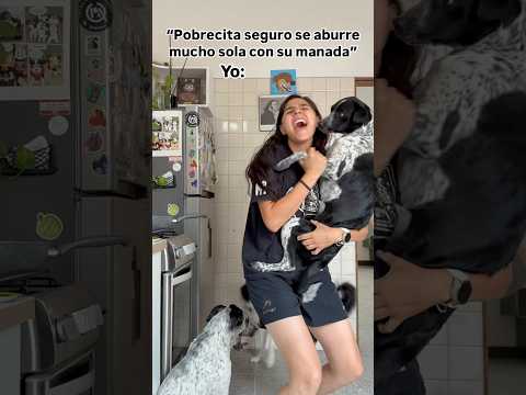 Lo di todo 🙂↔️