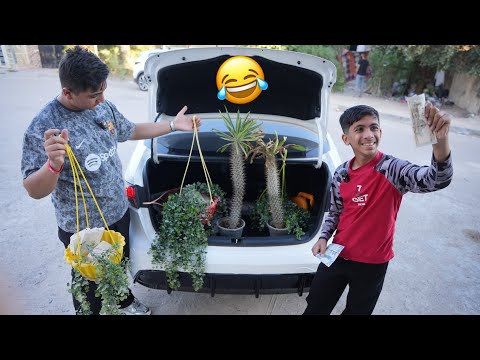 مودي يبيع زرع يطلع فلوس 🤑 #تحشيش