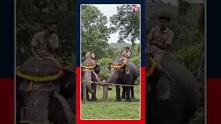 WATCH: Elephant Bow Down To Ganesh Idol Showcasing Devotion's True Bliss | Tamil Nadu | N18S
