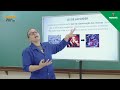Reações Químicas e Leis Relacionadas