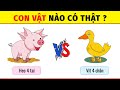 Khám Phá Thế Giới Động Vật