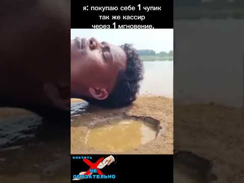 Пов: тот самый кассир... 🪨🤗 #cats #memes #shorts