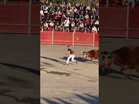 “ARON BALILLA” y sus detalles en la Vall d’Uixo 2024