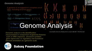 Genome Analysis