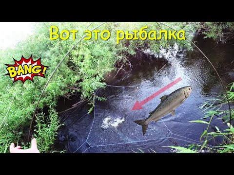 Огромные сазаны на паук подъёмник. Новый  квадроцикл  Ямаха Гризли 2021 года