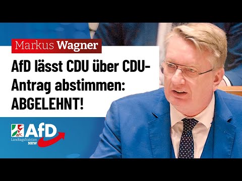 AfD lässt CDU über CDU-Antrag abstimmen – abgelehnt! – Markus Wagner (AfD)