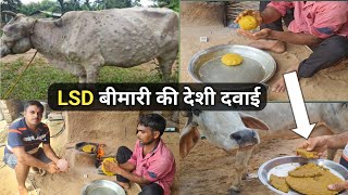👍LSD बीमारी की #देशी #दवाई 👍2 खुराक में बिलकुल ठीक👍Desi Treatment of #LSD 👍