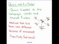 Evolutionary Concepts and Structures