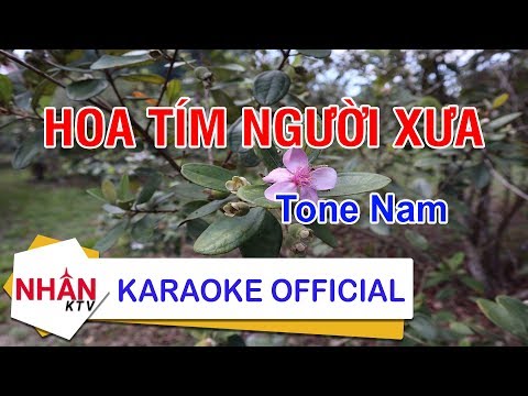 Karaoke Hoa Tím Người Xưa Tone Nam (Phối Mới) | Nhan KTV