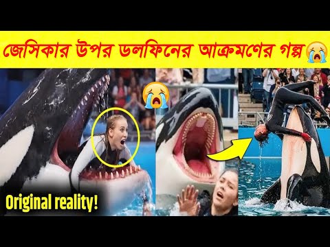āĻā§āϏāĻŋāĻāĻžāϰ āĻāĻĒāϰ āĻĄāϞāĻĢāĻŋāύā§āϰ āĻāĻā§āϰāĻŽāĻŖā§āϰ āĻŦāĻžāϏā§āϤāĻŦ āĻāϞā§āĻĒ | Dolphin Attack On Jessica Radcliffe Real Story