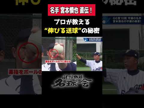 【必見】回転数が送球の命！名手・宮本慎也のキャッチボール指導 #野球 #名球会 #宮本慎也 #ヤクルトスワローズ #守備 #shorts