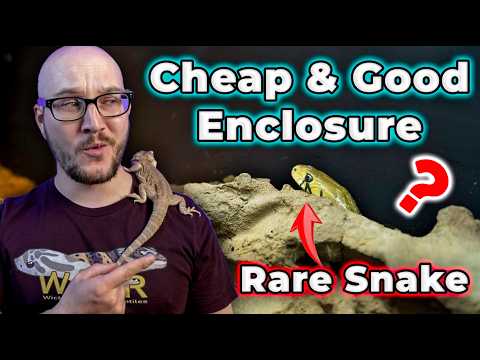 The BEST New Reptile Enclosure is Insanely Cheap RIGHT NOW!