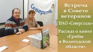 видео