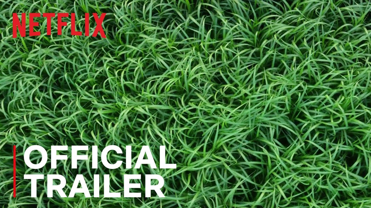 In the Tall Grass Trailer thumbnail