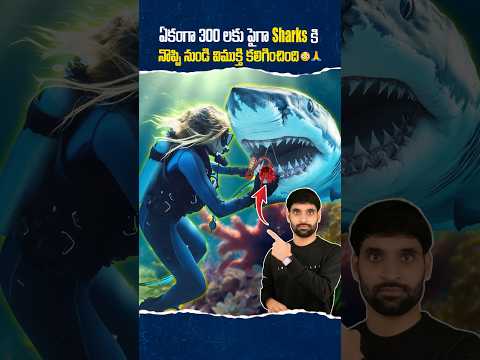 ఏకంగా 300 లకు పైగా Sharks కి నొప్పి నుండి విముక్తి కలిగించింది 😳🙏 #shortsfeed #sharks