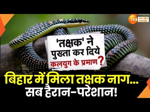 Takshak Naag Rescue Operation: Bihar рдореЗрдВ рдорд┐рд▓рд╛ рдЙрдбрд╝рдиреЗ рд╡рд╛рд▓реЗ рдирд╛рдЧ...рдХрд░ рджрд┐рдпрд╛ рд╣реИрд░рд╛рди-рдкрд░реЗрд╢рд╛рди! |Takshak Naag