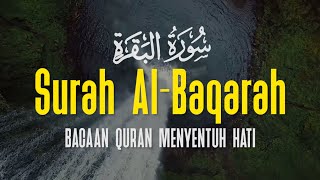 SURAH AL BAQARAH | Setan Kabur dari Rumah | Penenang Hati dan Pikiran