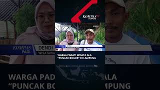 Warga Padati Wisata Ala “Puncak Bogor” di Lampung #shorts