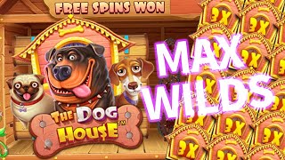 SLOT OYUNLARI 🐶 THE DOG HOUSE 🐶 THE DOG OYUN AÇIKTI KASAYI UÇURDUK !!! #slotoyunları