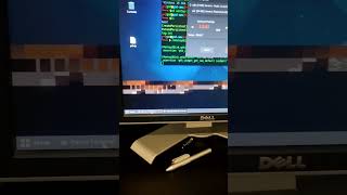 PARROT OS GONE CRAZY 🥴