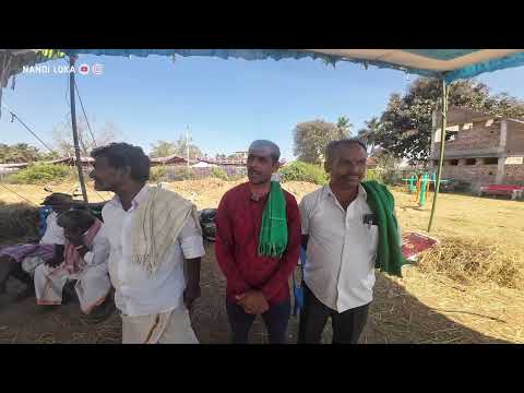 ಹೆಣ್ಣು ಹಳ್ಳಿಕಾರ್ ದನಗಳನ್ನು ಸಾಕಿ  | ಬನ್ನೂರು ದನಗಳ ಜಾತ್ರೆ